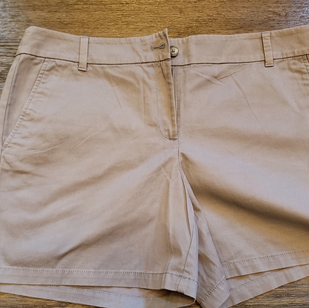 NWT Loft Shorts